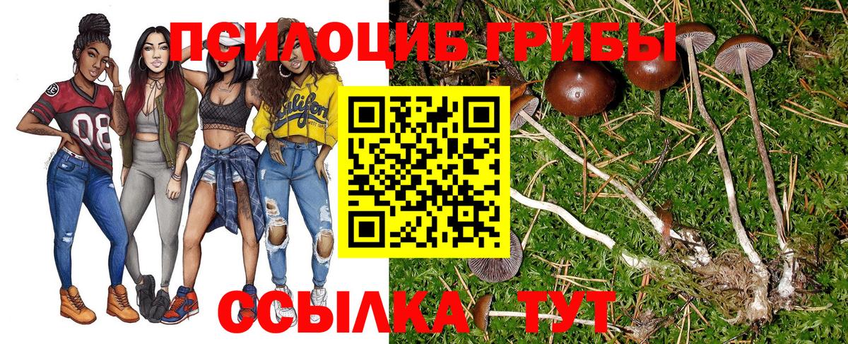 Галлюциногенные грибы MAGIC MUSHROOMS Азов