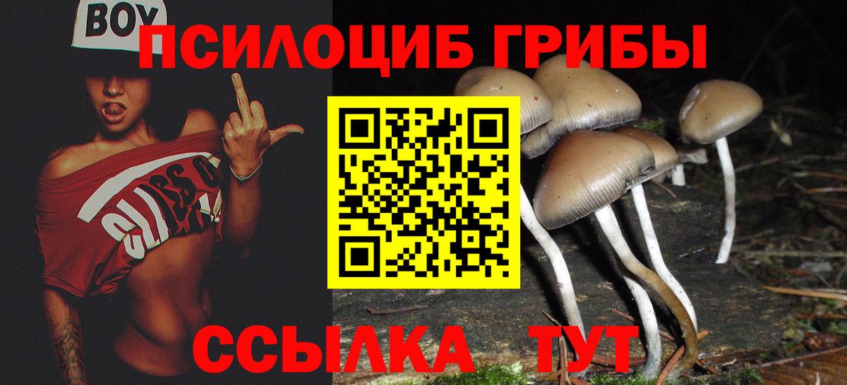 Галлюциногенные грибы Magic Shrooms  Галлюциногенные грибы GOLDEN TEACHER  Вход с VPN  Азов 